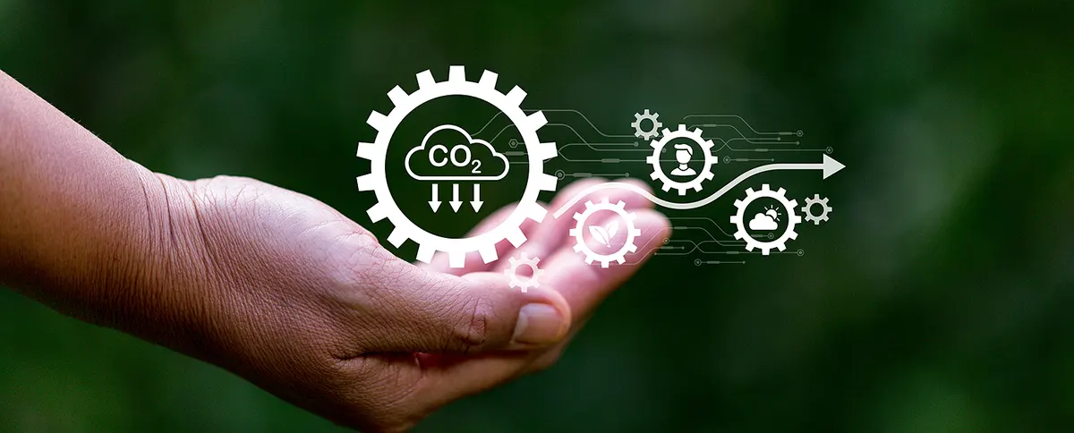 ISO 14001 C mo Convertirte En Un L der En Sostenibilidad Empresarial iso-14001-c-mo-convertirte-en-un-l-der-en-sostenibilidad-empresarial